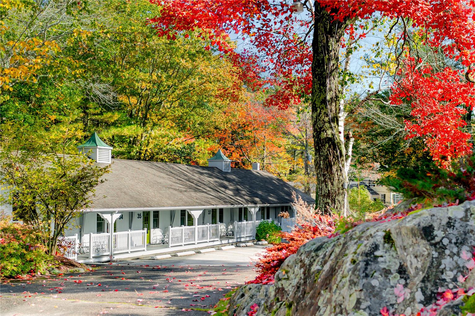 The Lodge at the Cove - photo 9
