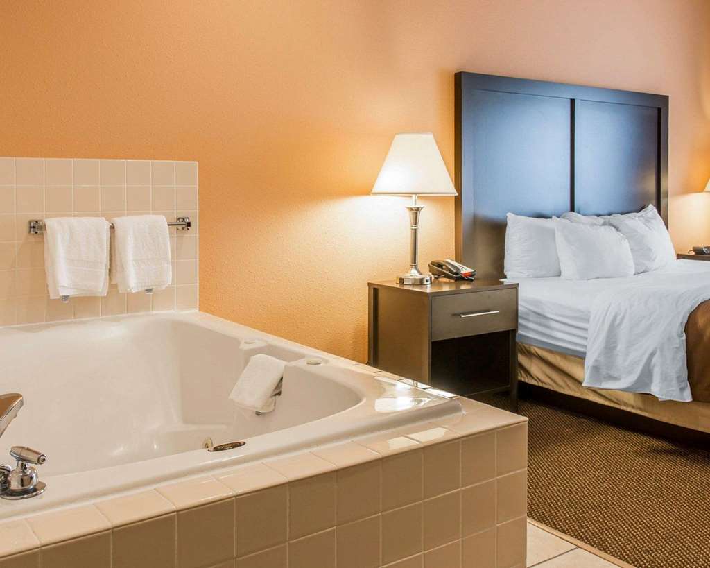 Quality Inn & Suites Niles - photo 54
