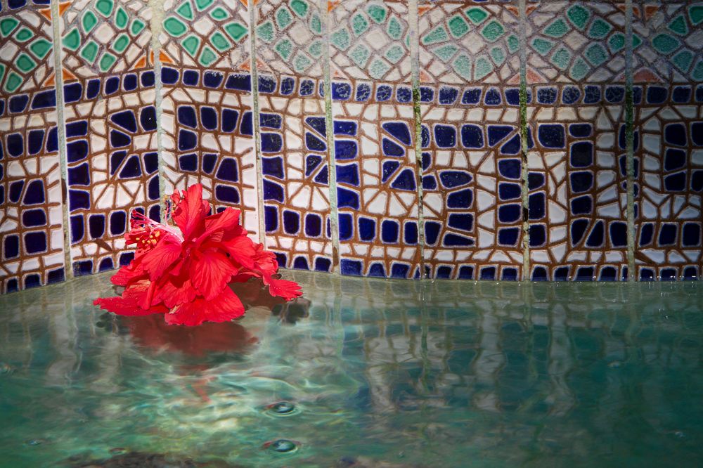 The Gardens Hotel - photo 41