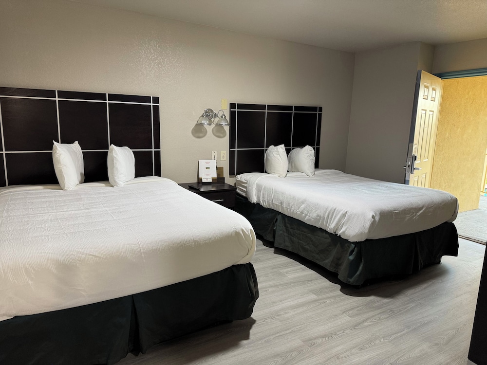 Executive Inn Crystal City - photo 5