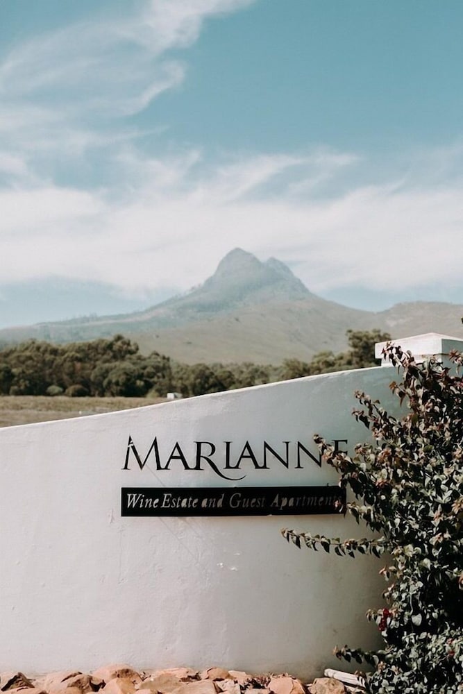 Marianne Wine Estate in Stellenbosch, South Africa