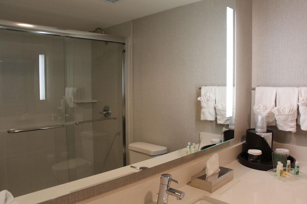 Holiday Inn Denver Lakewood an IHG Hotel - photo 3