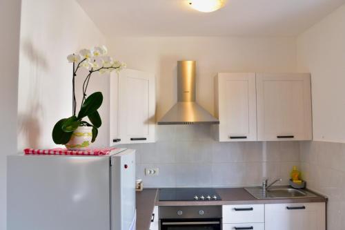 Apartment Banko — 4-Star Luxury Hotel in Porec, Croatia