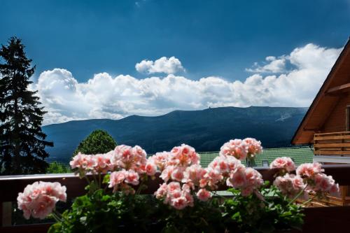 Apartamenty Home Sweet Home Na Górnej — 4-Star Luxury Hotel in Szklarska Poreba, Poland