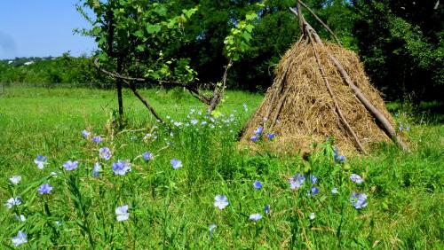 Country House Uliana