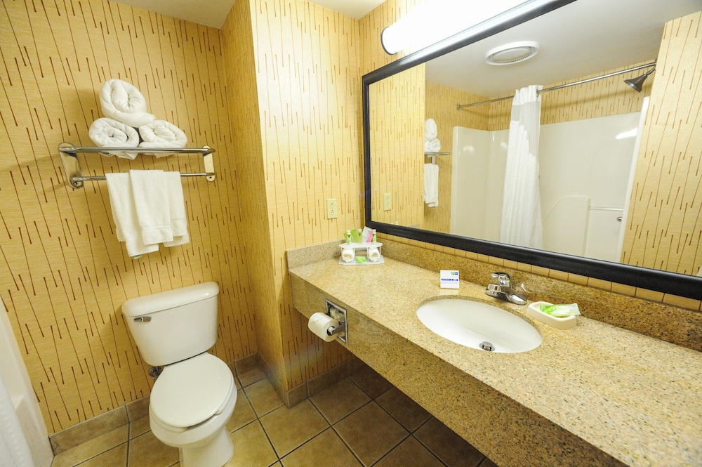 Holiday Inn Express Hotel & Suites Bowling Green by IHG - photo 6