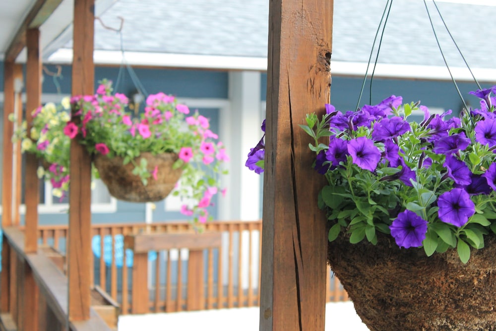 Lake Haven Motel - photo 18