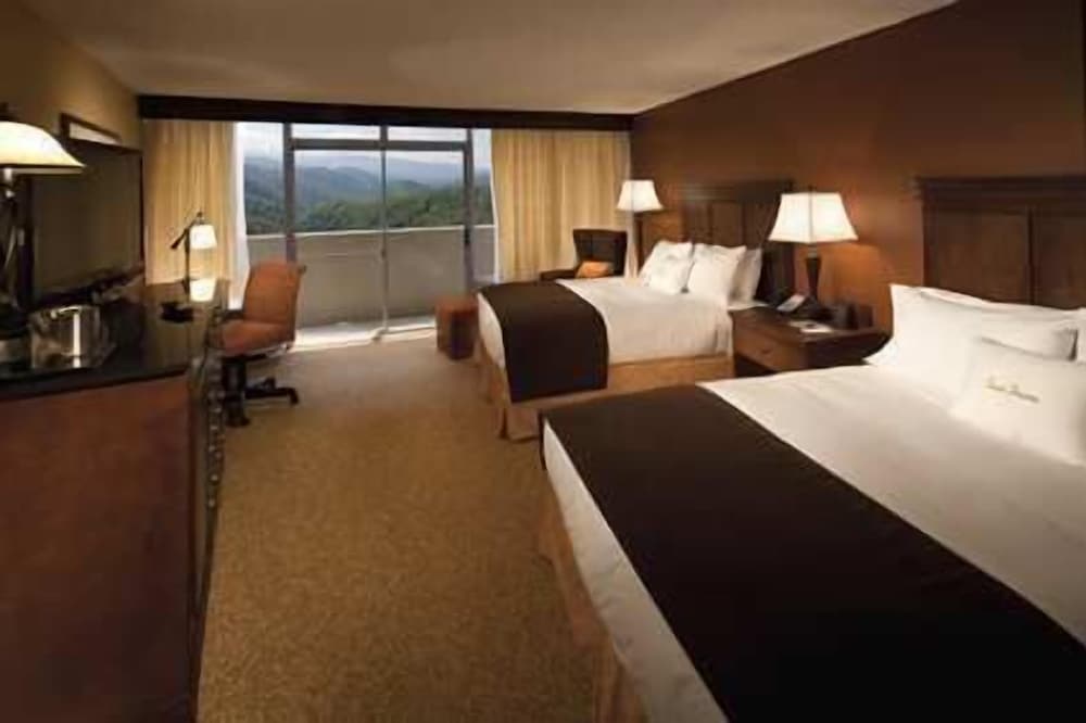 The Park Vista a DoubleTree by Hilton Hotel Gatlinburg - photo 5