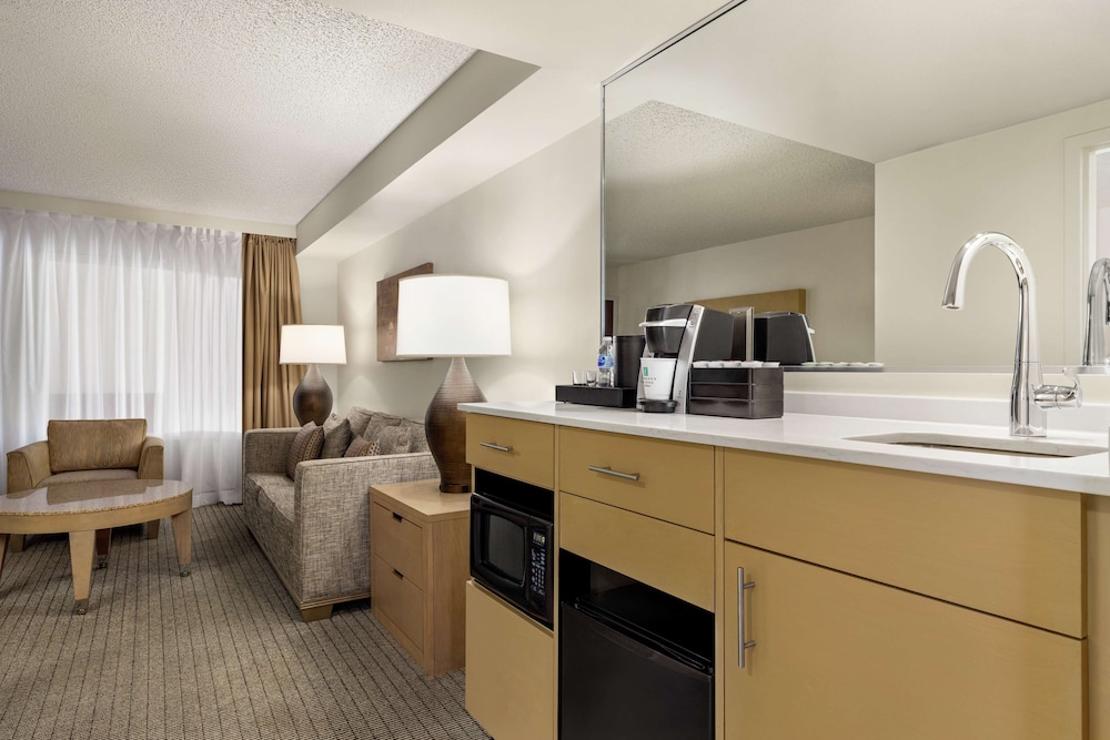 Embassy Suites by Hilton Denver International Airport - photo 21