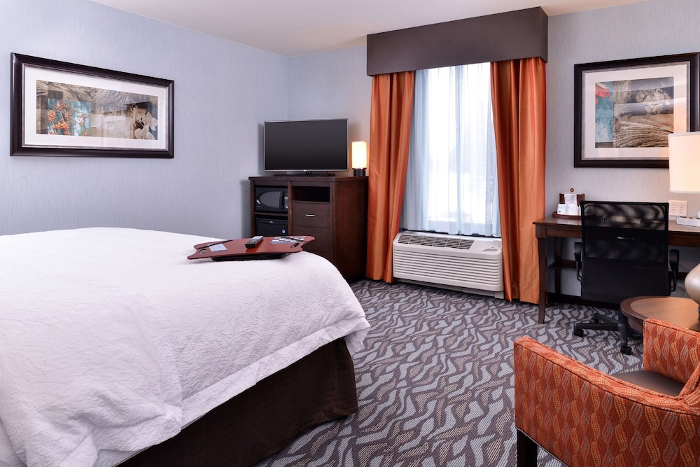 Hampton Inn Rome - photo 11