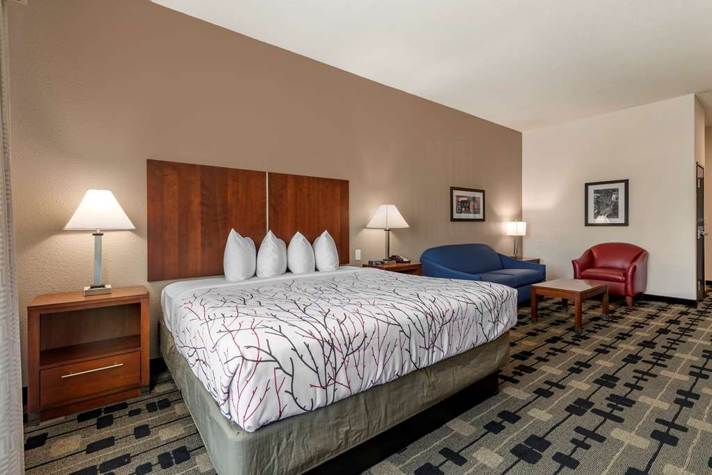 Best Western Plus Big Lake Inn - photo 21