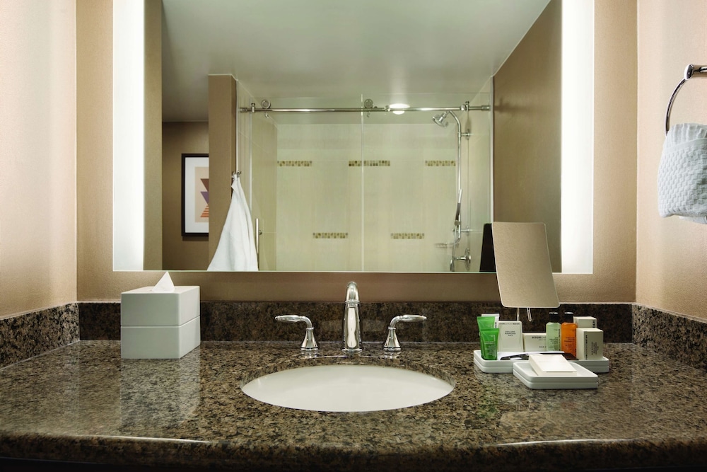 Hilton Arlington - photo 24