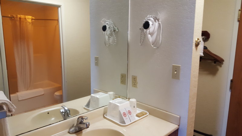 Arlington Inn And Suites - photo 9