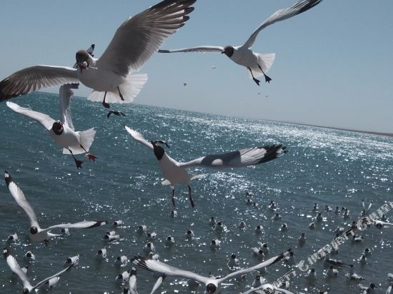 Qinghai Lake Happy Post Station in Gonghe, People's Republic of China