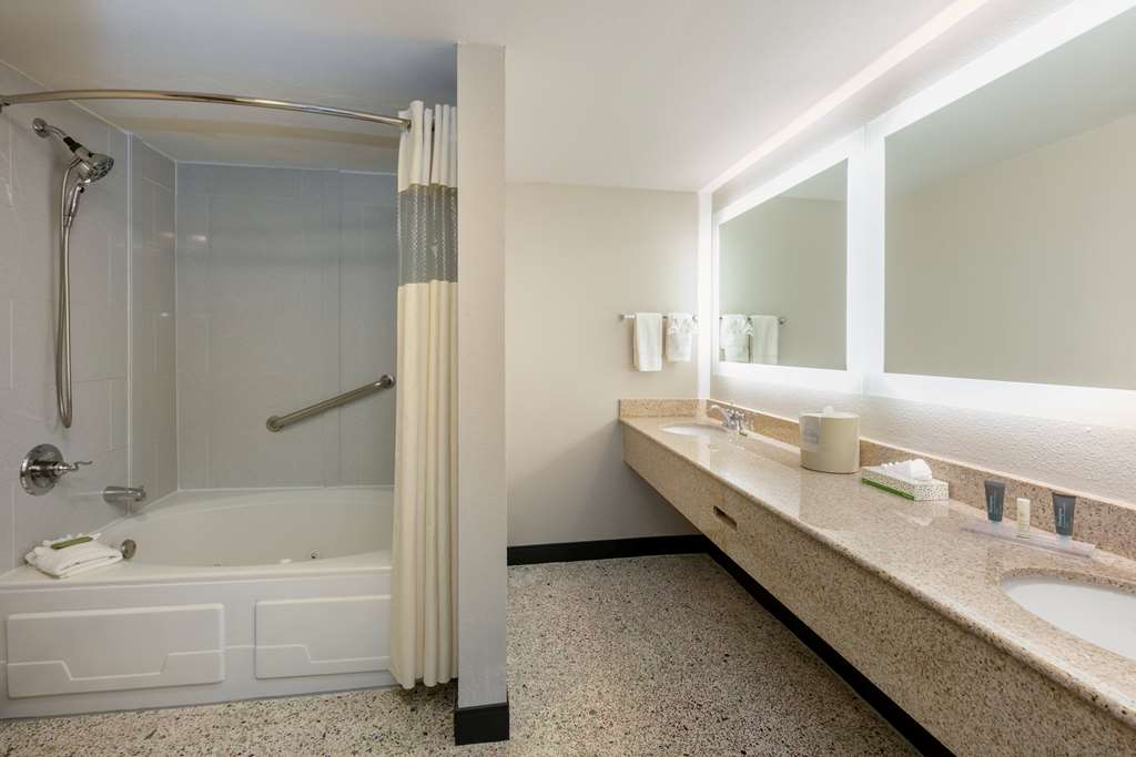 Wingate by Wyndham DFW North Irving - photo 44