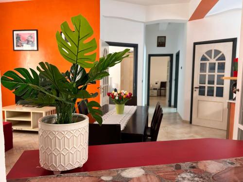 Seamply Apartment Il Mare in 1 Minuto — 4-Star Luxury Hotel in Maiori, Italy