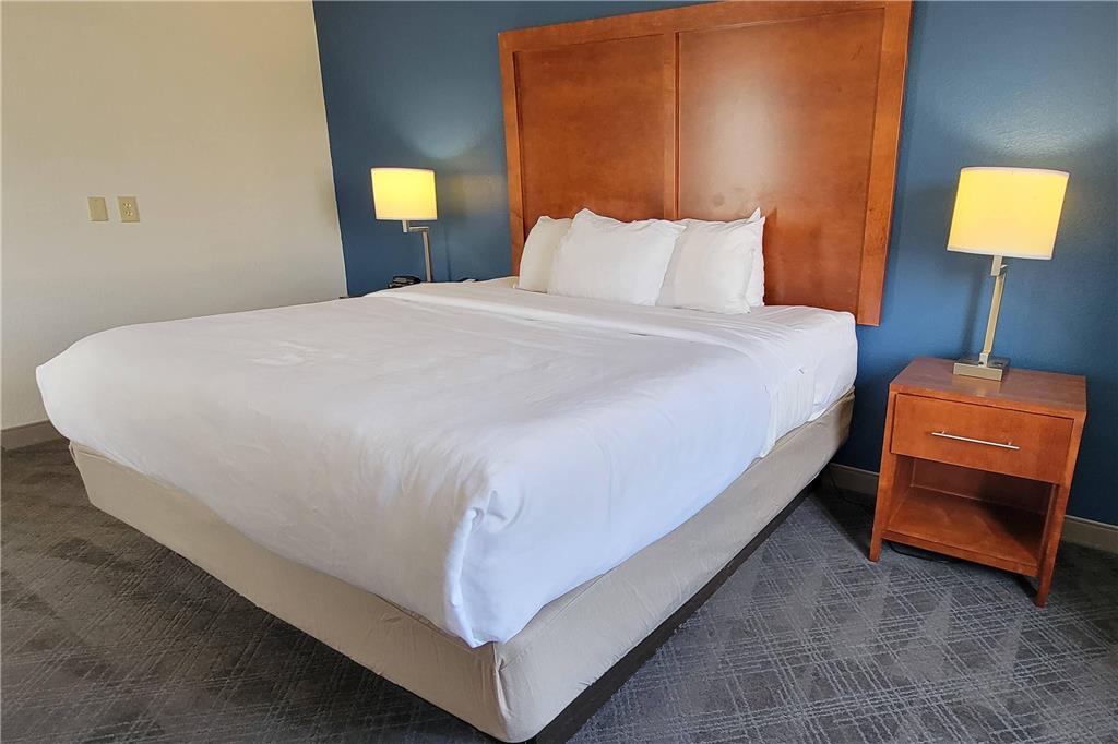 Comfort Inn Bessemer Birmingham South - photo 11