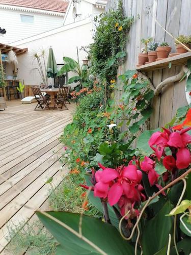 La Z Family Logement Vacances 5 Couchages Centre Ville Et Plage A Pieds — Lacanau