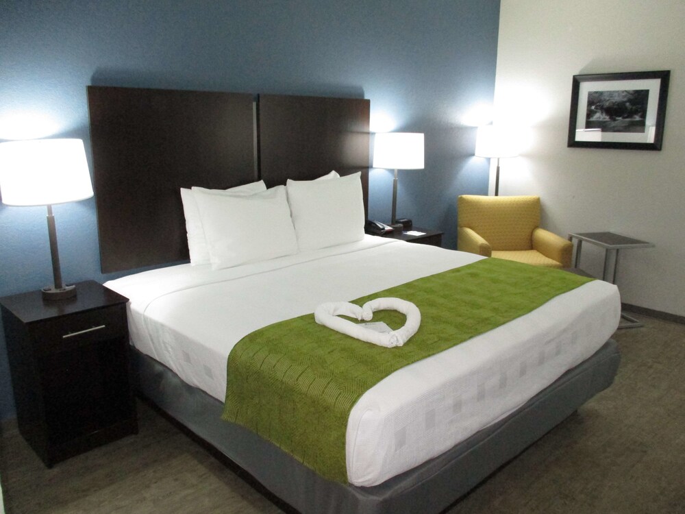 Best Western Rock Hill - photo 5