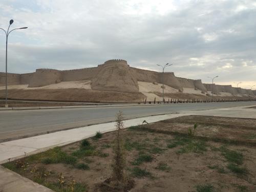 Boran in Khiwa, Uzbekistan