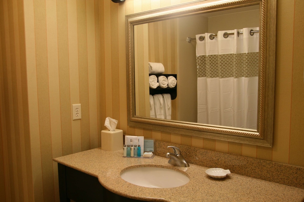 Hampton Inn & Suites Chicago St. Charles - photo 10
