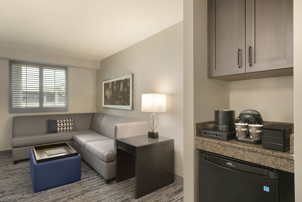 Embassy Suites by Hilton Atlanta at Centennial Olympic Park - photo 33
