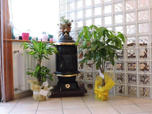 Locanda Da Teresa — Bardineto — photo 2