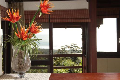 Bangalore Suites — Florianopolis — photo 3
