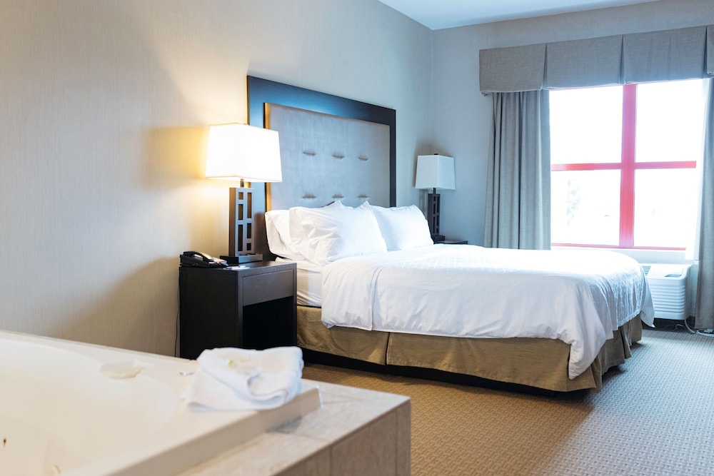 Holiday Inn Express Hotel & Suites Olathe North by IHG - photo 18