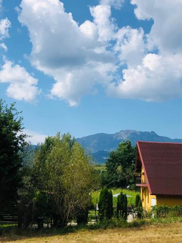 Casa Sofia — Calimanesti — photo 2