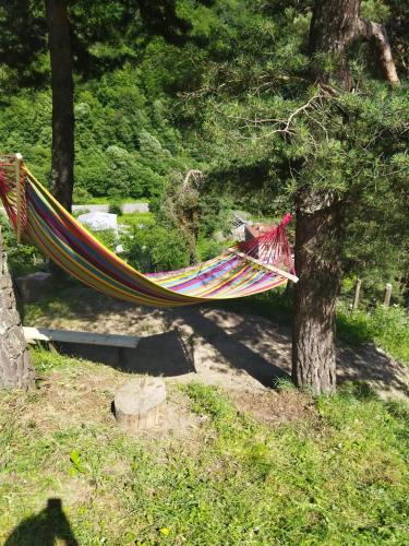 Guesthouse Gama in Khevsureti
