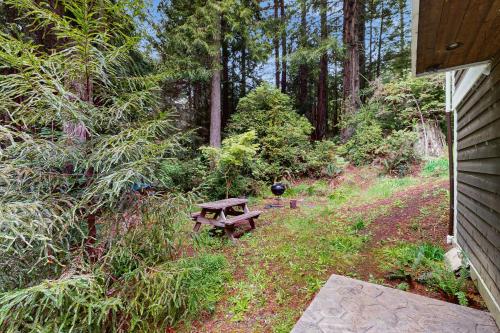 Serene Redwood Retreat - photo 23