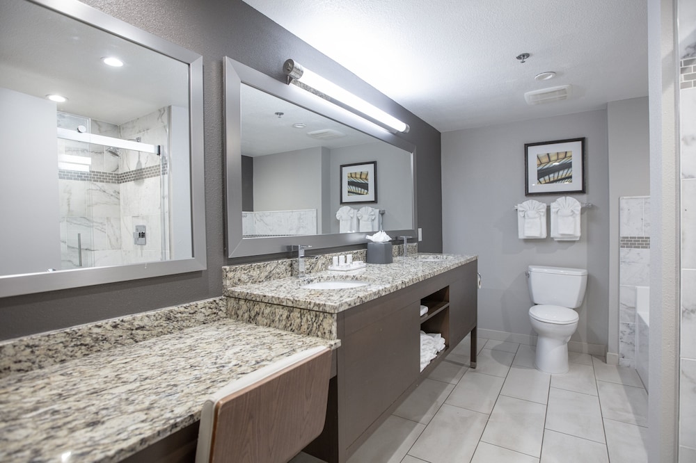 Holiday Inn St Louis SW Route 66 - photo 27