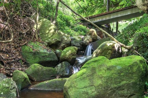 The Yurt at Lothlorien — Berry — photo 5