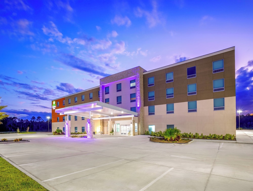 Holiday Inn Express & Suites Macclenny by IHG - photo 44
