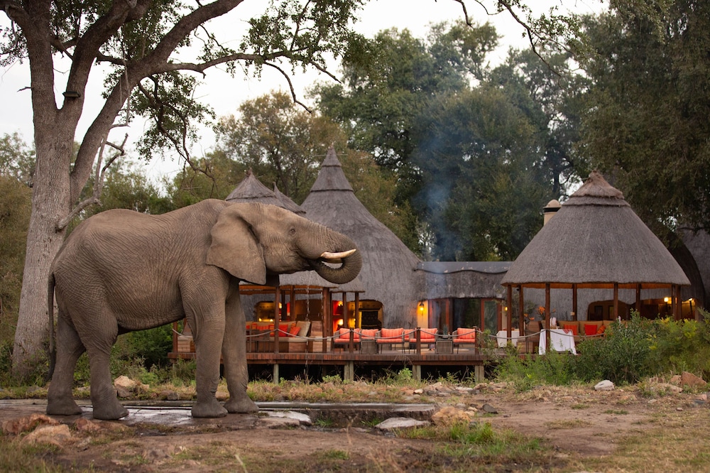 Hoyo Hoyo Safari Lodge — 5-Star Luxury Hotel in Bushbuckridge, South Africa