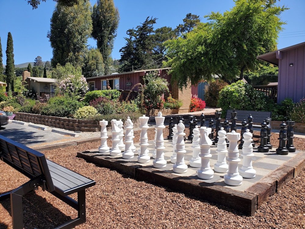 Carmel Valley Lodge and Resort - photo 43