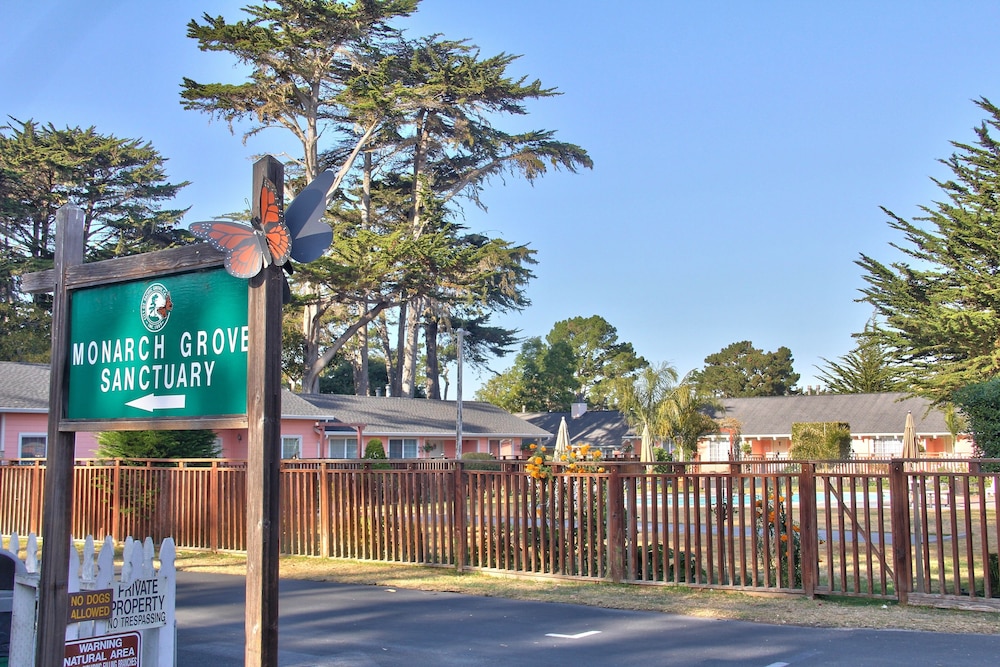 Butterfly Grove Inn - photo 50