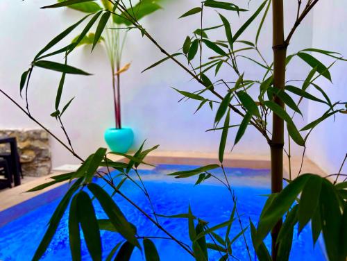 Excelente Alberca Privada En Residencial Privado Asador Jardin in Ciudad Valles, Mexico