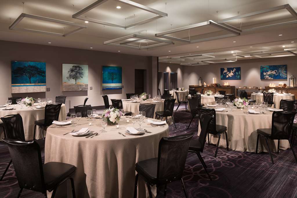 Andaz Napa By Hyatt - photo 30