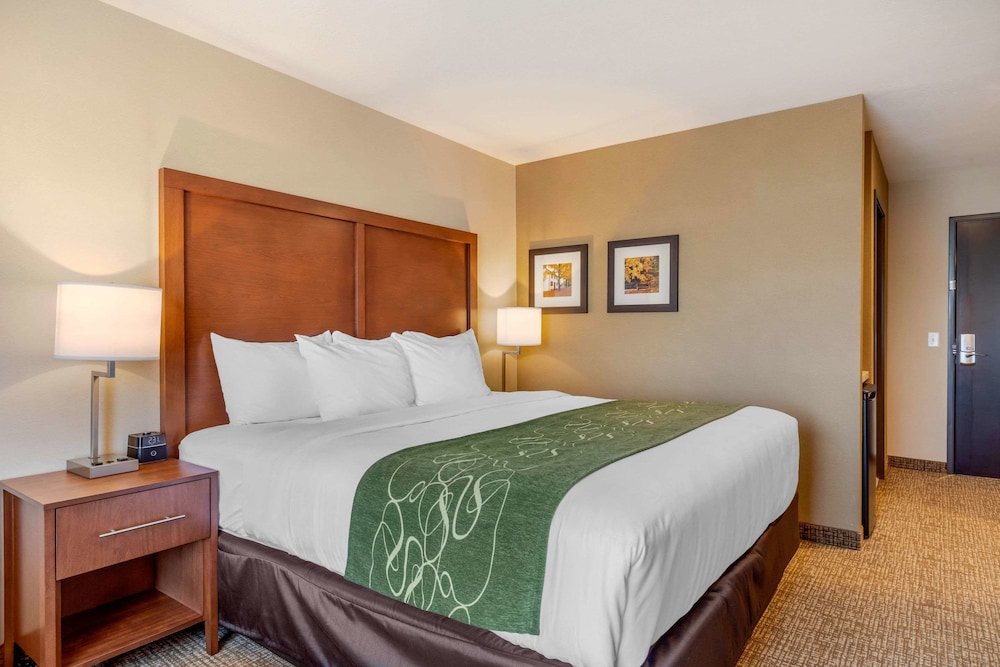 Comfort Inn & Suites Schenectady Scotia - photo 17