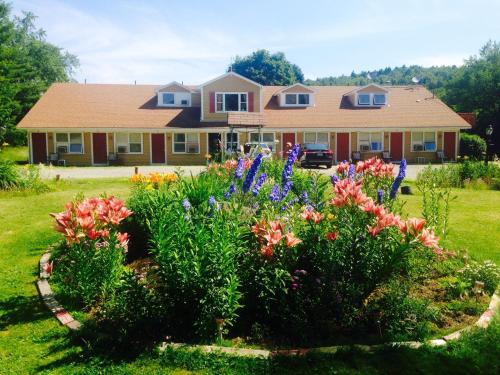 Vintage Motel - photo 22