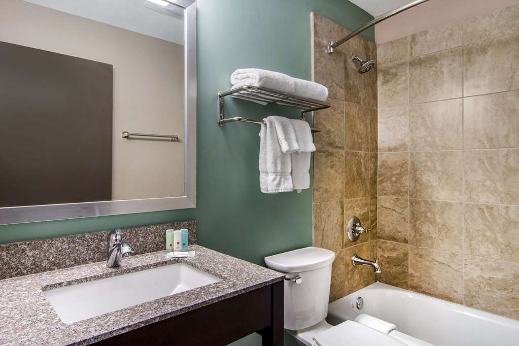 Clarion Inn & Suites Atlanta Downtown - photo 18