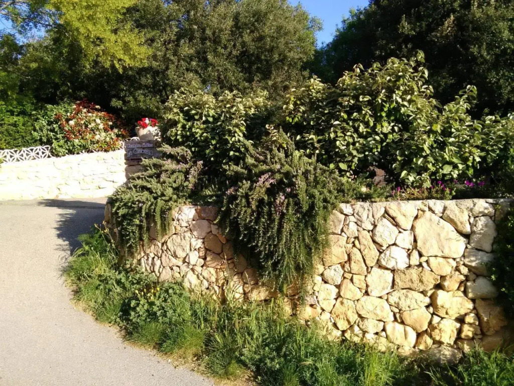 La Claouzo in Perpignan, France