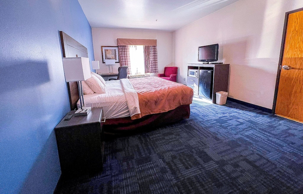 Helena Inn Airport - photo 5