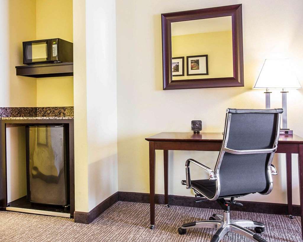 Comfort Suites Rock Hill Manchester Meadows Area - photo 15