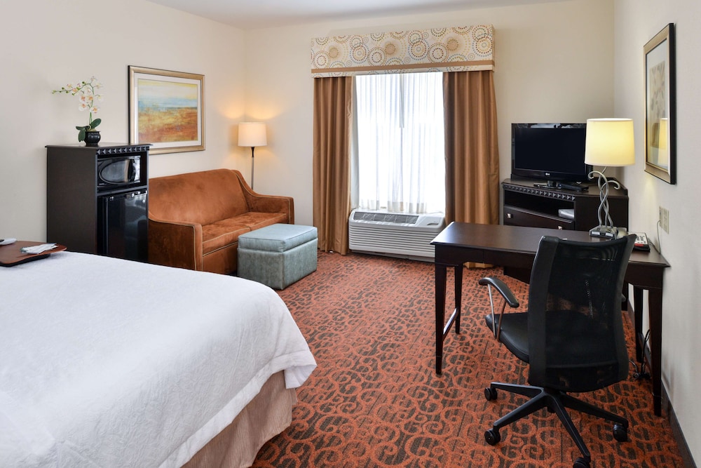 Hampton Inn Pecos - photo 8