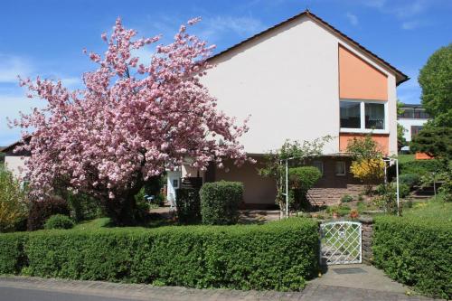 Haus Müller Adelheid — 4-Star Luxury Hotel in Hilders, Germany