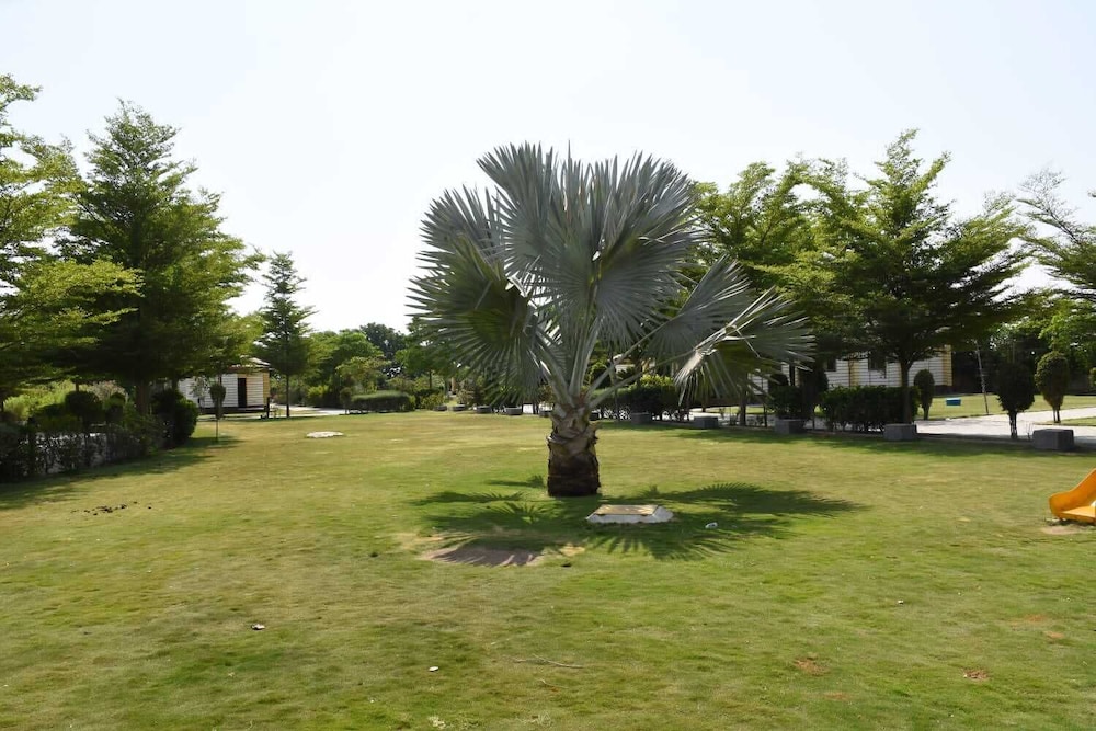The Desert Den Little Rann of Kutch in Surendranagar, India