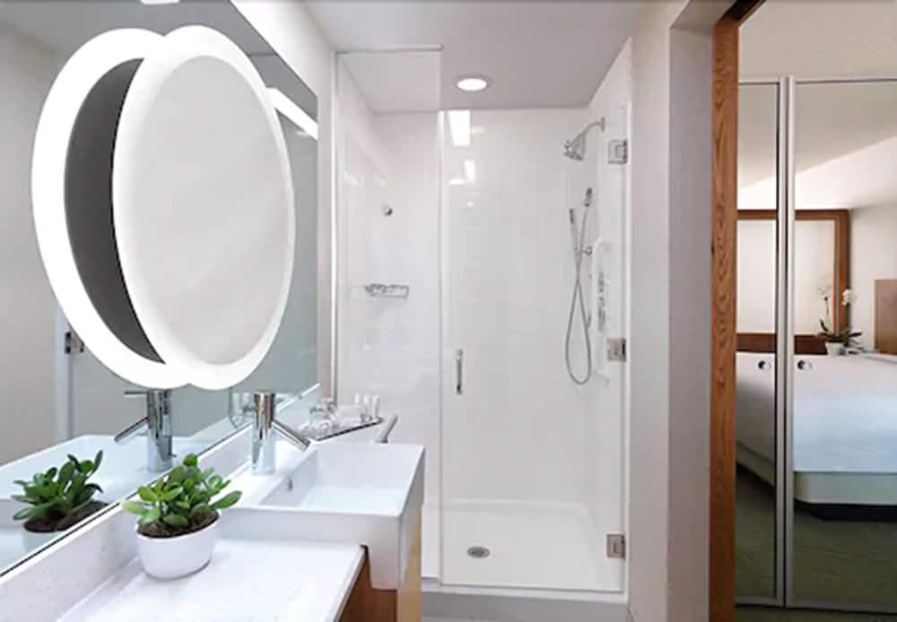 Springhill Suites by Marriott Charleston Mount Pleasant - photo 5